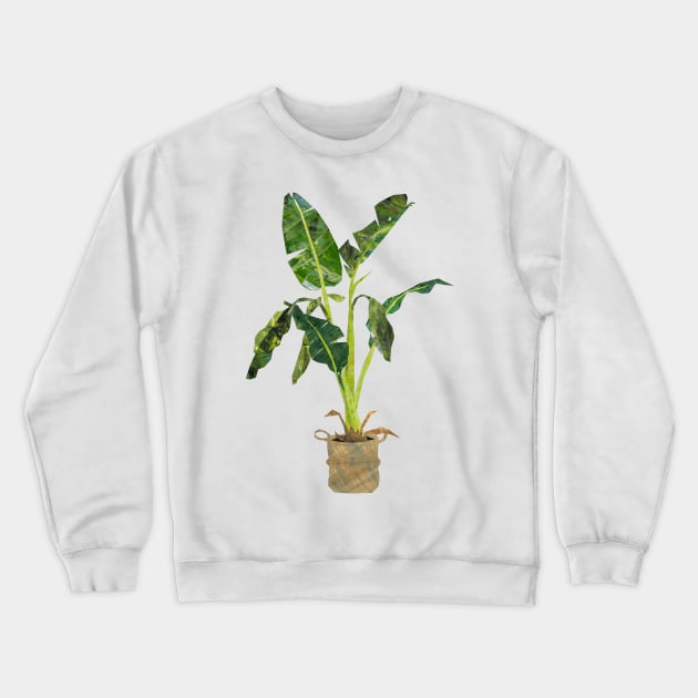 Banana plant Crewneck Sweatshirt by Babban Gaelg